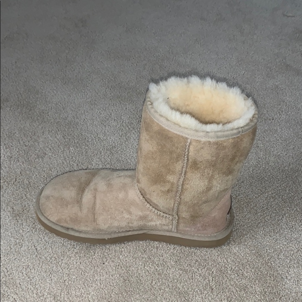 Cream colored UGGS - Picture 3 of 4